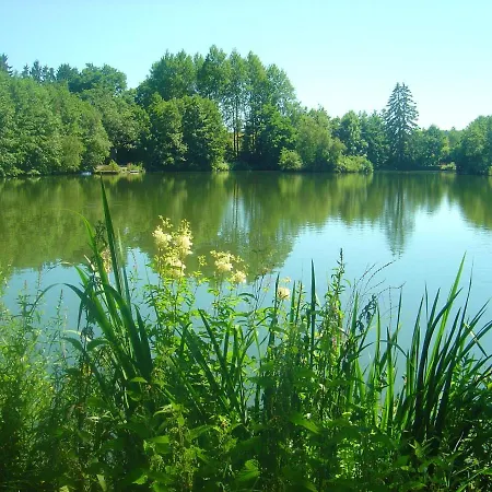 Prázdninový dům 5 Bedrooms House With Lake View Furnished Garden And Wifi At Bertogne